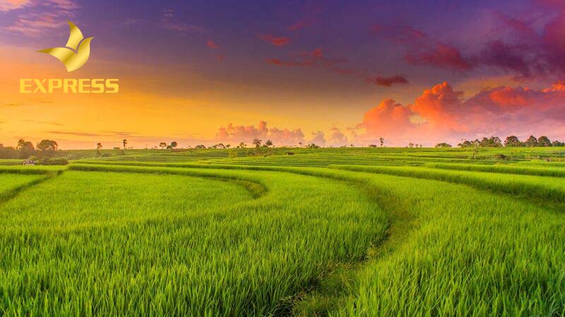 Bán đất ruộng Hưng Yên uy tín, tiềm năng chuyển đổi tích cực BĐS Hưng Yên