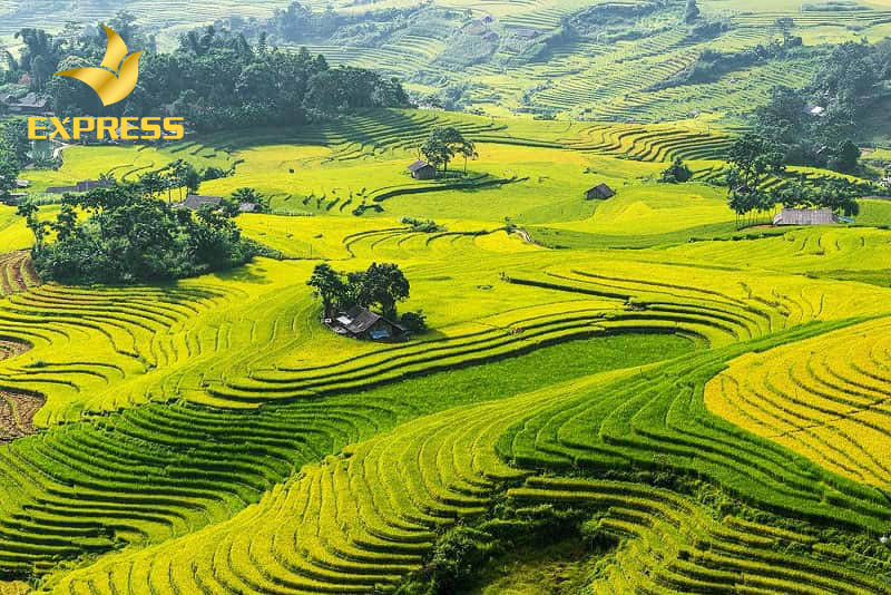 Cập nhật thị trường đất ruộng phường 5 Sóc Trăng mới nhất