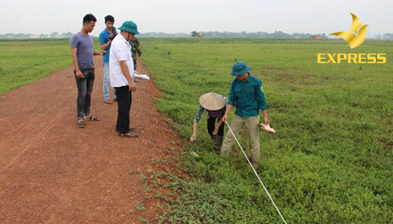Những gì bạn nên biết khi chuyển đổi mục đích sử dụng đất ruộng màu