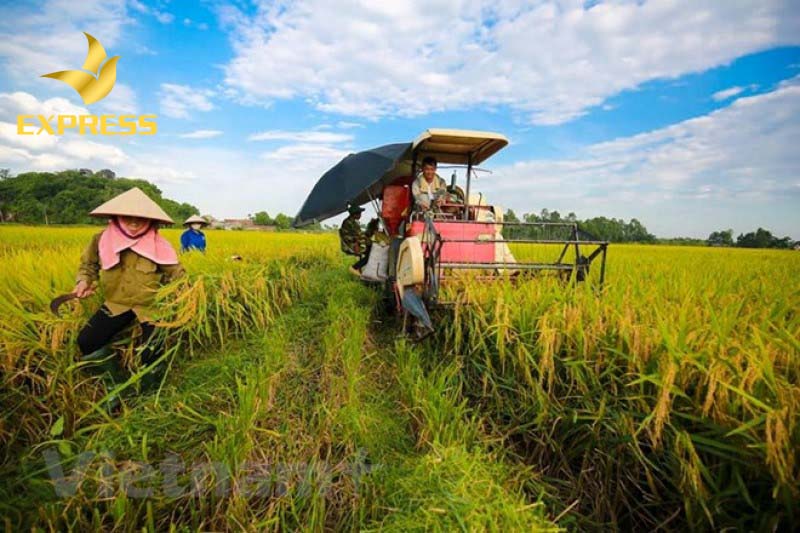 Chi phí chuyển đổi sang đất thổ cư phụ thuộc vào quy định của từng tỉnh thành.