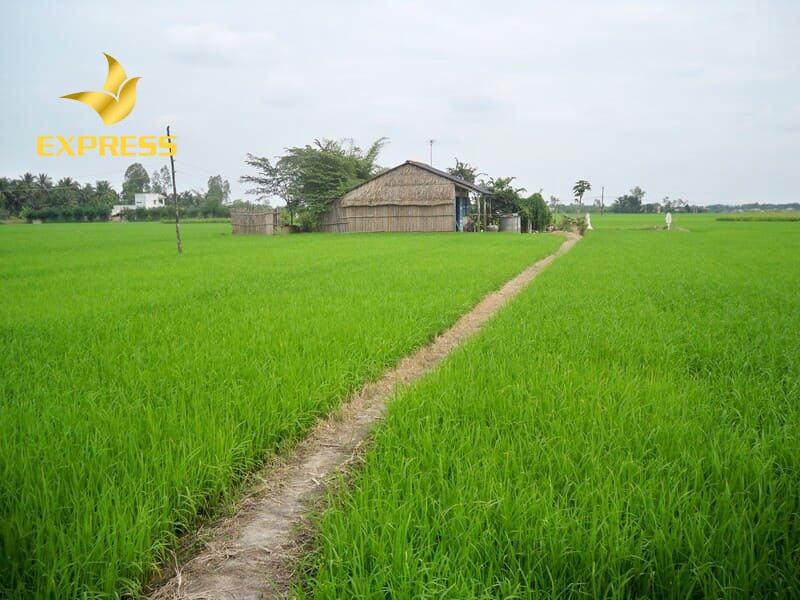 Đất nông nghiệp 10 năm có phải là thời hạn sử dụng không? 