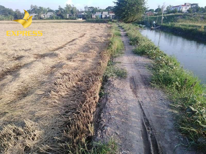Đất ruộng phần trăm là đất được trích từ quỹ đất của hợp tác xã