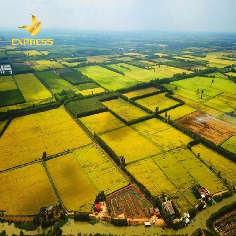 Đầu tư vào đất ruộng sẽ sinh lời nhiều do mức giá của đất ruộng và đất ở có sự chênh lệch lớn