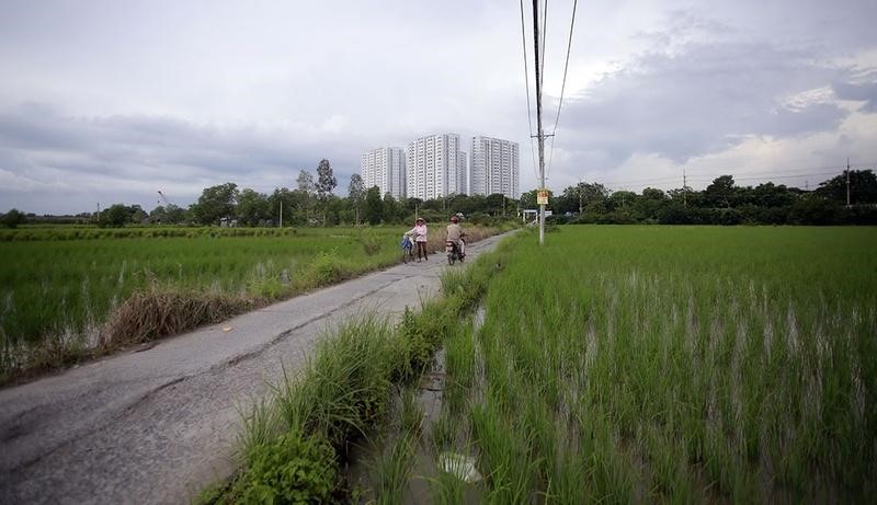 Kinh nghiệm mua đất ruộng quận 12 bạn cần biết