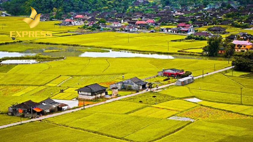Tham khảo cách tính mức đền bù đất ruộng 2021