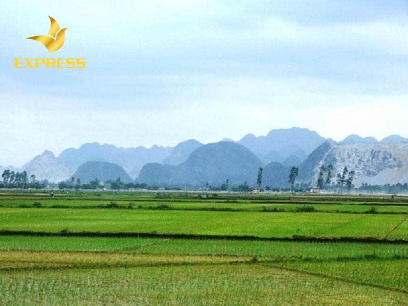 Mua bán đất ruộng Quy Nhơn đang được nhiều người hưởng ứng