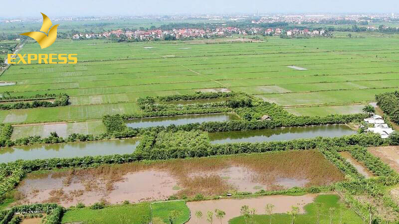 Những điều cần chú ý khi mua đất ruộng Mỹ Xuyên Sóc Trăng