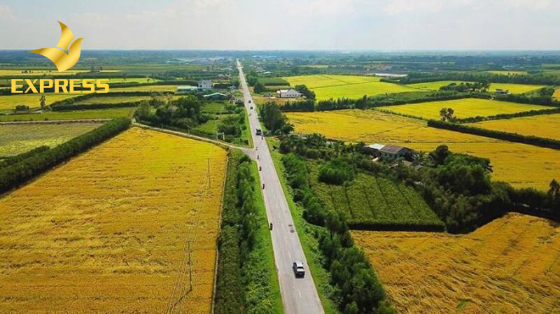 Thị trường mua bán đất ruộng Hưng Yên sẽ tăng đột biến trong tương lai