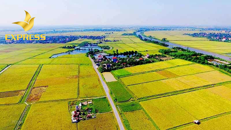 Ảnh 2: Có thể chuyển đổi đất ruộng thành đất thổ cư được không còn tùy thuộc vào chính sách sử dụng quỹ đất hằng năm của địa phương. (Nguồn: Internet)