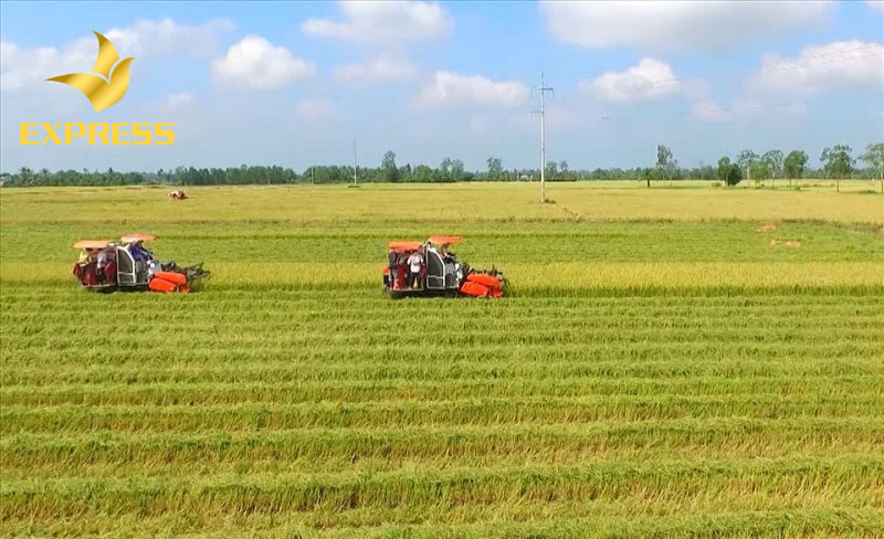 Có nên đầu tư mua đất ruộng Vị Thanh không?