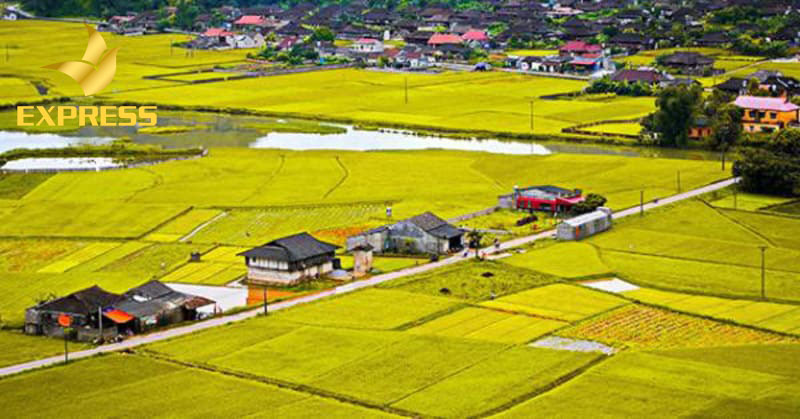 Đất ruộng có sang tên được không và nếu vi phạm sẽ bị xử phạt như thế nào?