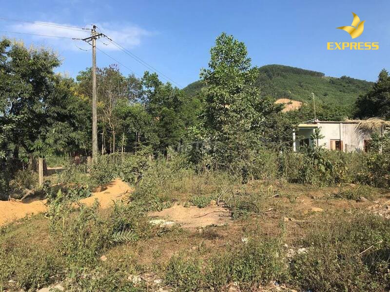 Đất vườn có được xây dựng nhà tạm không phải đáp ứng điều kiện theo quy định của pháp luật