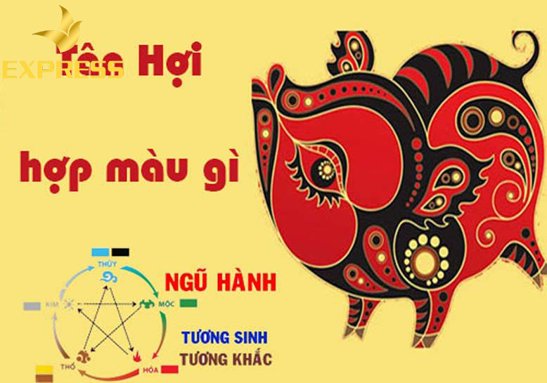 Màu sắc hợp và kiêng kỵ với người tuổi Tân Hợi