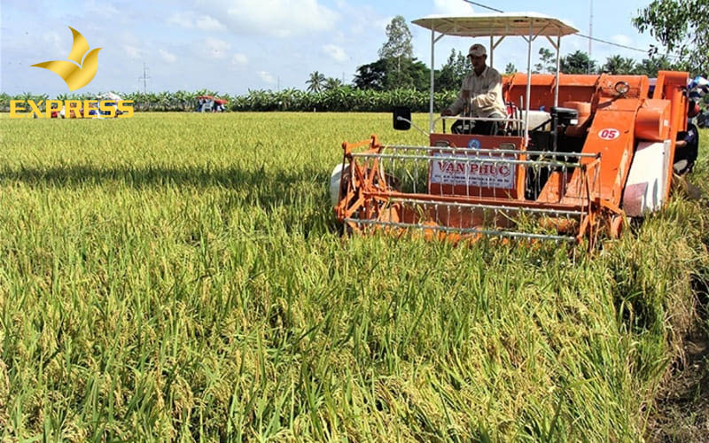 Sóc Trăng có tiềm năng phát triển mạnh thu hút nhiều nhà đầu tư