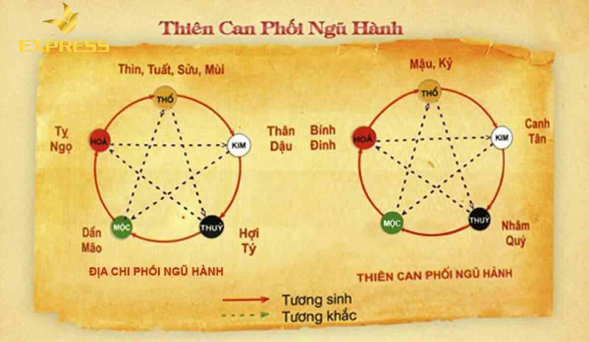 Chi tiết ý nghĩa của Can