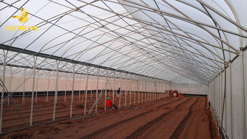 Ưu và nhược điểm của cách làm nhà kính trồng rau là gì?