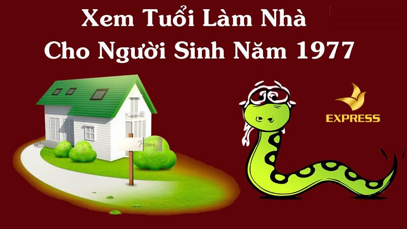Giải đáp: chủ đầu tư tuổi đinh tỵ 1977 xây nhà năm nào để tránh vận hạn ?