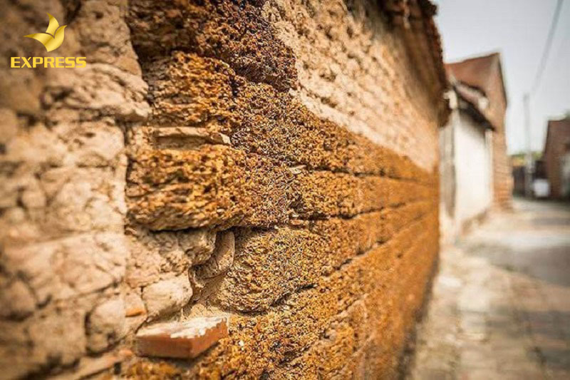 Gạch tổ ong - Vật liệu tạo nên không gian độc lạ