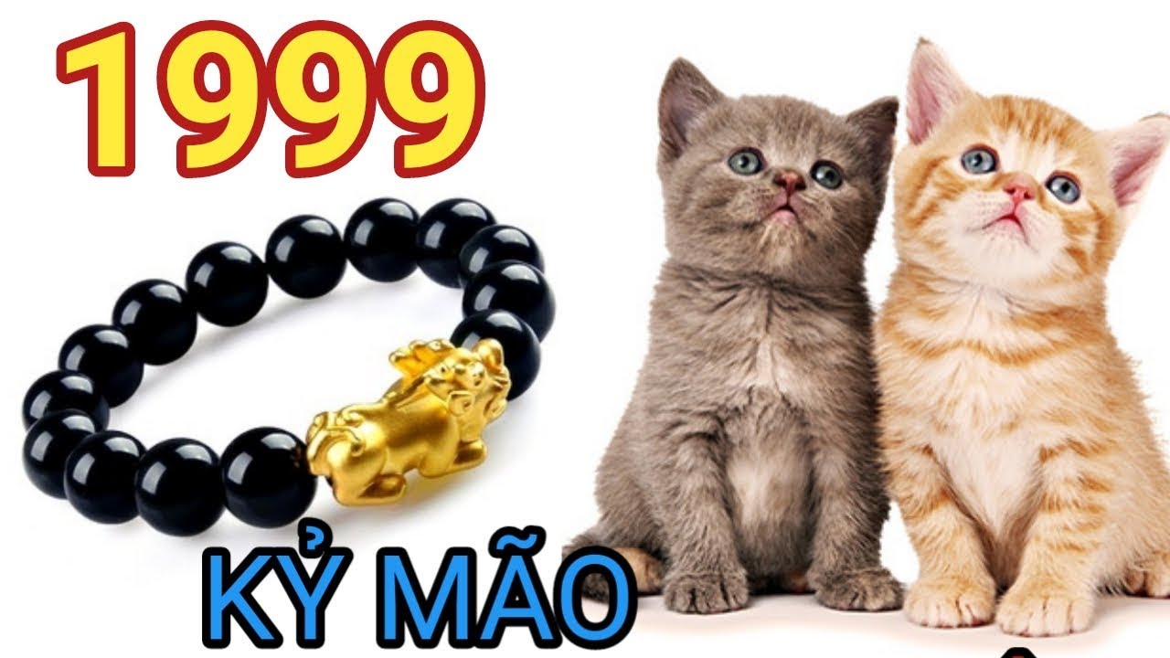 Sinh năm 1999 mệnh gì? Những vấn đề về phong thủy mà người sinh năm 1999 nên biết.