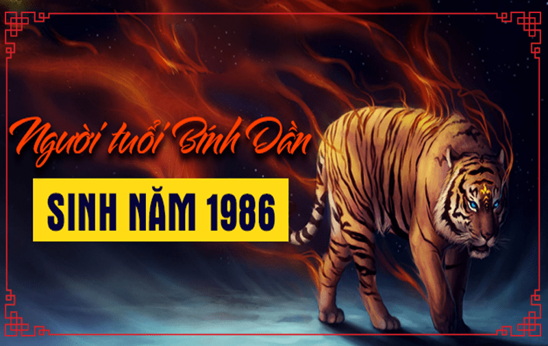 Góc tìm hiểu: hướng bếp tuổi Bính Dần 1986 ra sao thì hợp phong thủy?