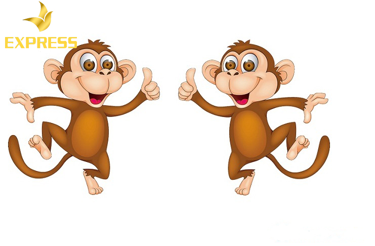 Sinh năm 2016 hợp với tuổi gì?