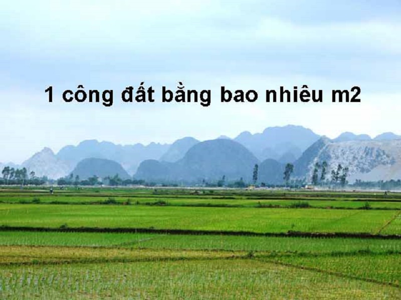 Thông tin về giá trị của 1 công đất và cách quy đổi đơn vị của nó