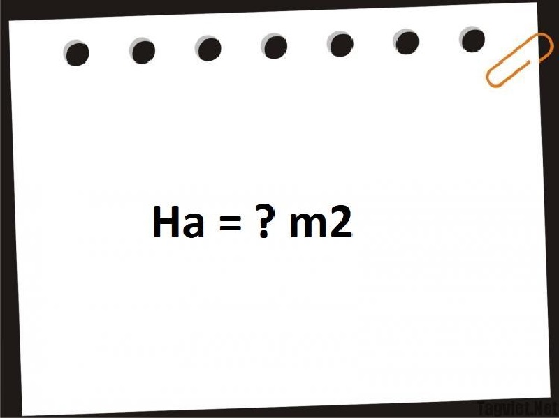 Góc tìm hiểu: Ha là gì? 1 ha bằng bao nhiêu m2?