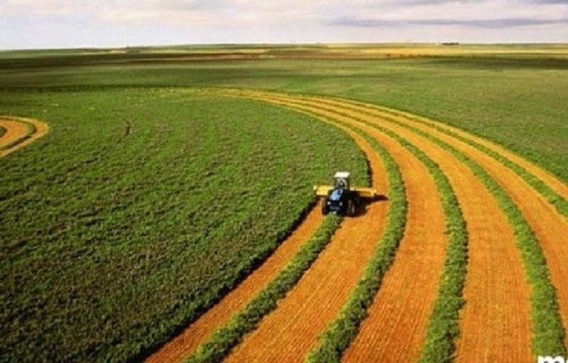 Giá đền bù đất nông nghiệp khi bị thu hồi tính như thế nào?