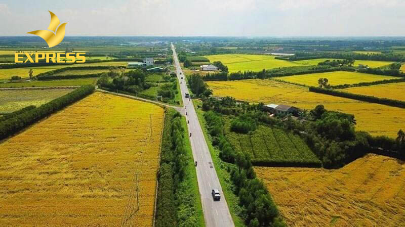 Những thông tin cần nắm khi mua bán đất ruộng Diên An