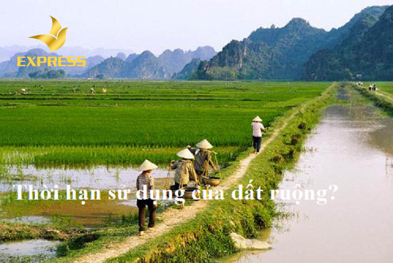 Giải đáp nhanh: đất ruộng được sử dụng bao nhiêu năm?