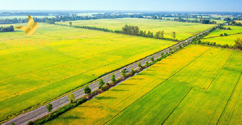 Góc hỏi: Có nên đầu tư vào đất ruộng Hậu Giang không?