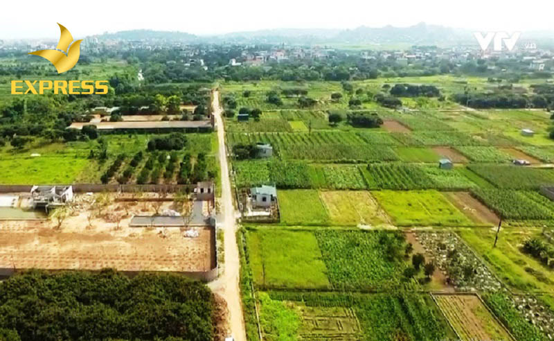 Tất tần tật những điều bạn cần biết về đất ruộng huyện Cao Lãnh