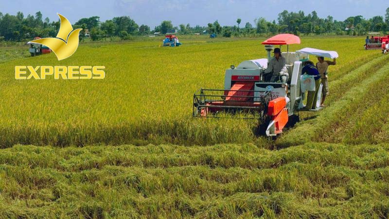 Bật mí toàn bộ những vấn đề có liên quan đến câu hỏi: Đất ruộng có bán được không?