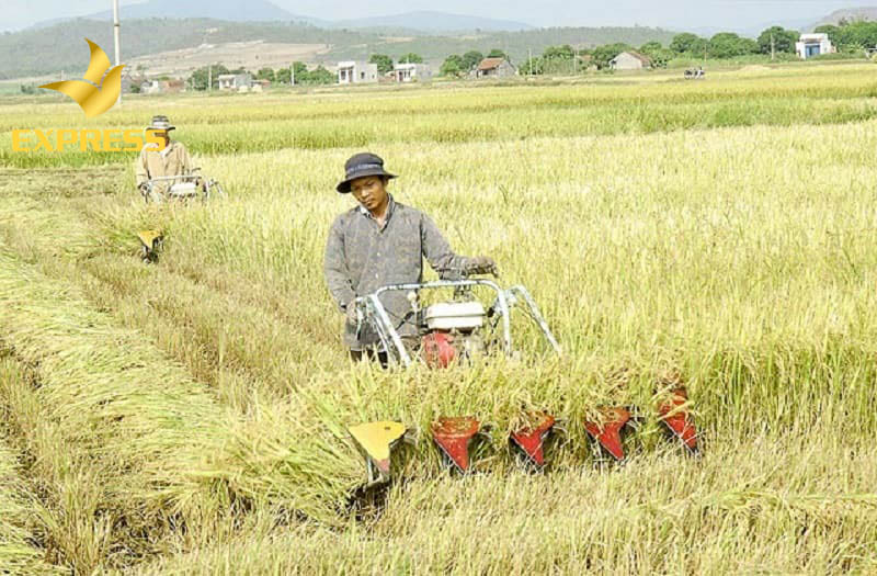 Những điều cần lưu ý khi mua bán đất ruộng Diên Phú