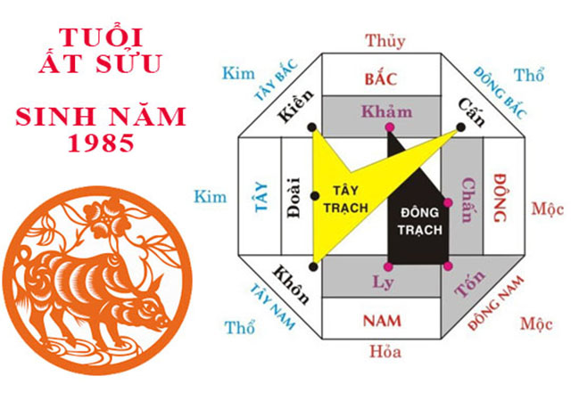 Gia chủ tuổi Ất Sửu 1985