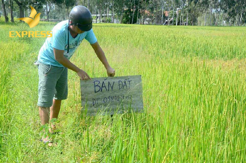 Người dân cắm biển bán đất trên đất ruộng