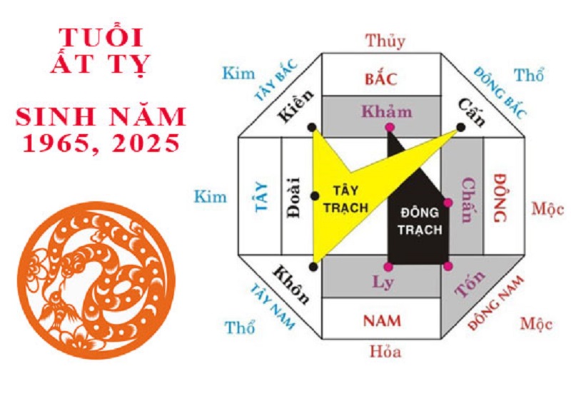 Tuổi ất tỵ hợp hướng nào? Xây nhà chuẩn phong thủy