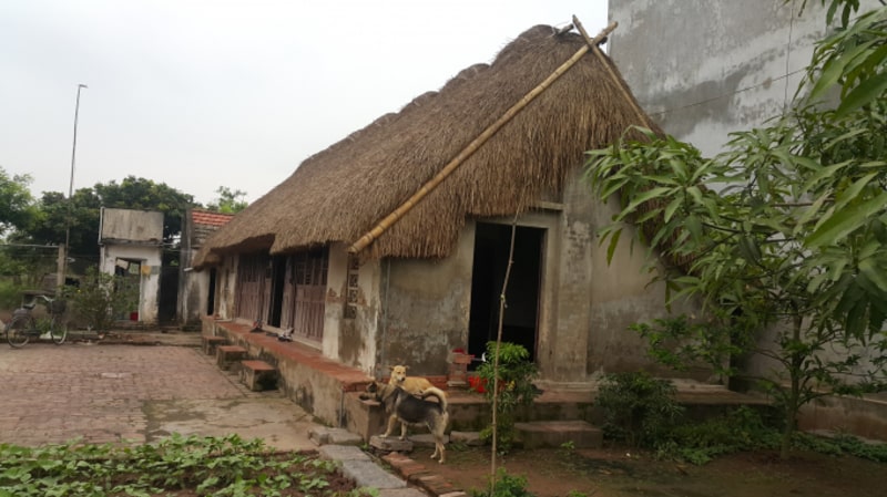 Chỉ bạn cách thiết kế nhà mái rơm đơn giản và tạo ấn tượng sâu