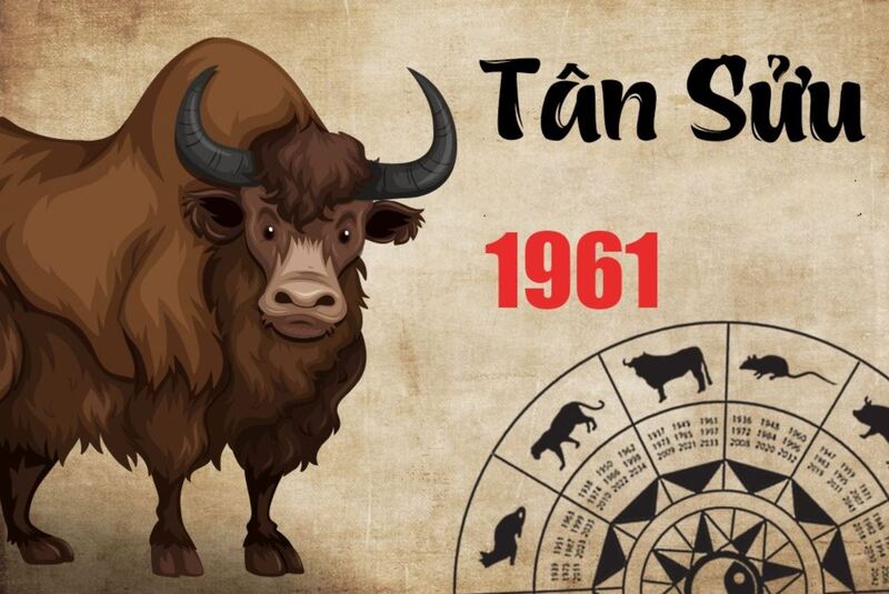 Hướng nhà tuổi Tân Sửu và cách sắp xếp nội thất, phòng hợp phong thủy