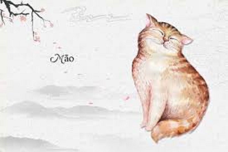 Hướng giường ngủ tuổi Đinh Mão- Hướng dẫn sắp xếp phòng ngủ