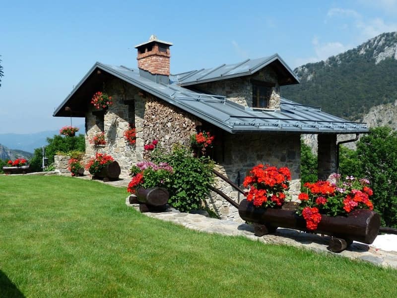 ​Tránh trồng các cây cổ thụ trước nhà vì sẽ gây cản trở đến việc di chuyển