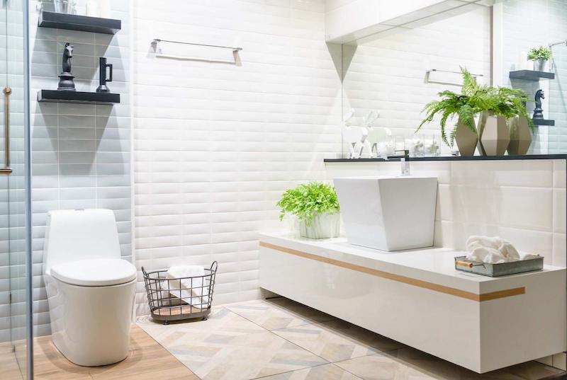 Top những loại cây nên trồng trong nhà vệ sinh chắc chắn hữu ích dành cho bạn