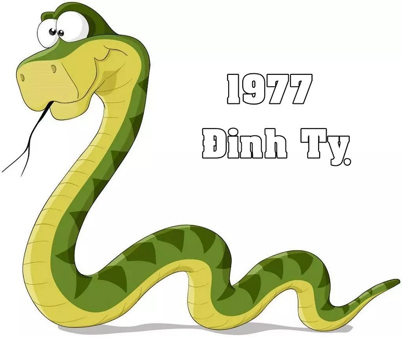 Bí quyết chọn hướng bếp tuổi Đinh Tỵ 1977 hợp phong thủy