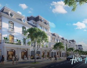 BT HOA HỒNG