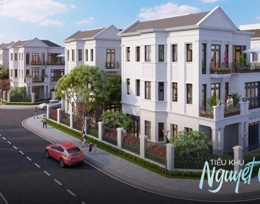 BT NGUYỆT QUẾ