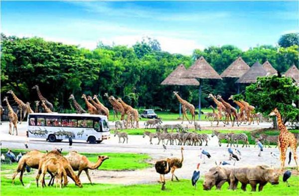 vinpearl-safari-phu-quoc