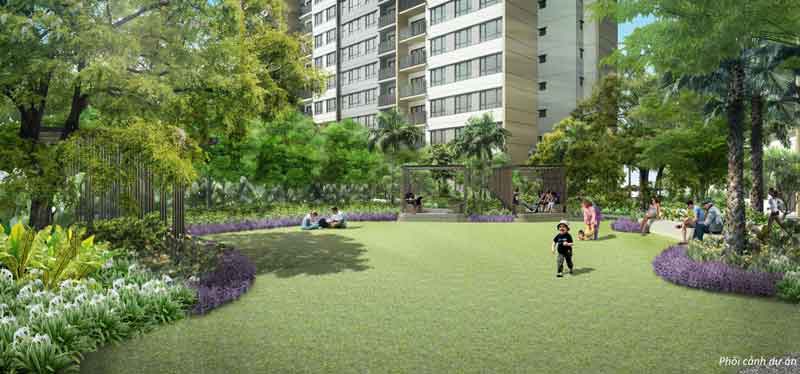 không gian xanh trong dự án palm city