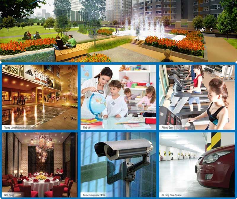 dịch vụ dự án lavida plus