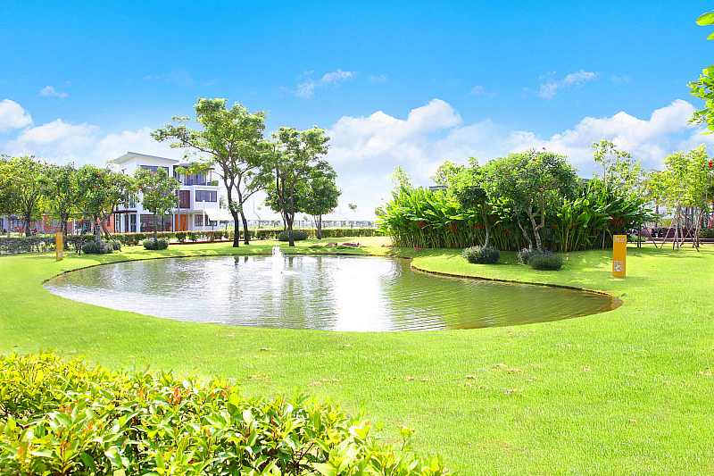 Không gian sống xanh dự án Swan Bay