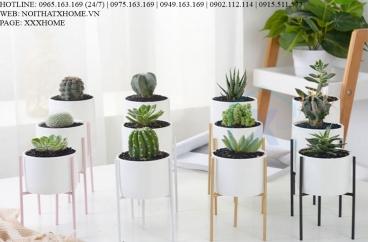 BÌNH LỌ HOA TRANG TRÍ X HOME HÀ NỘI SÀI GÒN HỒ CHÍ MINH XHOME1117